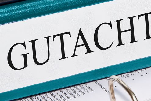 Wissenschaftlicher Dienst