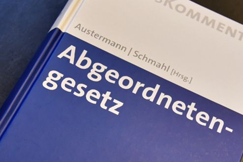 Abgeordnetenrecht